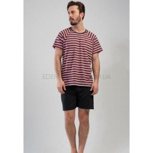 Пижама мужская Шорты и Футболка Полоска 111186 , S