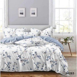 Постельное белье ранфорс Вилюта 24293 Цветы , Полуторный