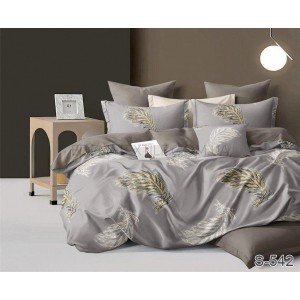 Постельное белье сатин принт Перья S542 Tag , Семейный